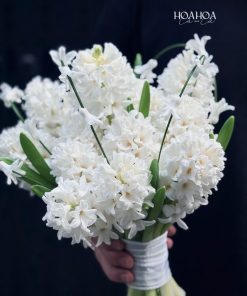 z7985202273947 f59df9b1d5106640ea6bf6ace6b3d471