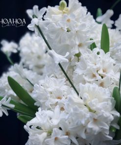 Alternative view of Forever Bloom - Bó Hoa Cưới Dạ Lan Hương Cao Cấp | Hoa Hoa Lá Lá