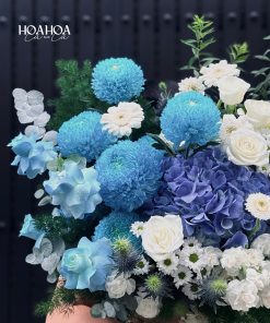 Royal Ocean – Giỏ Hoa Tặng Sếp Giá Tốt | Hoa Hoa Lá Lá 7 z7986275312529 3d14702e73b5bfb4faa7c9e189c5d624