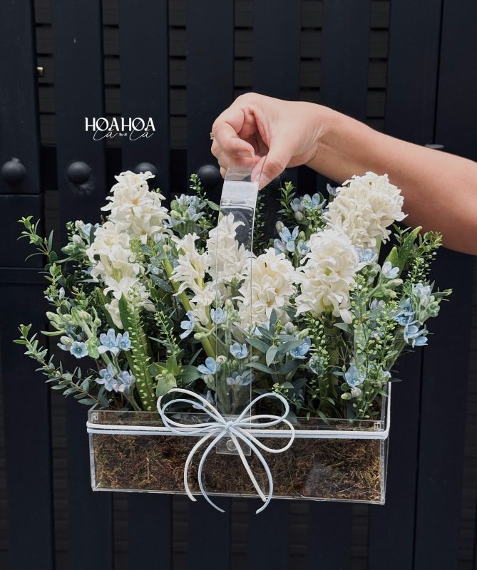Ivory Bloom – Giỏ Hoa Dạ Lan Hương Tặng Người Yêu | Hoa Hoa Lá Lá