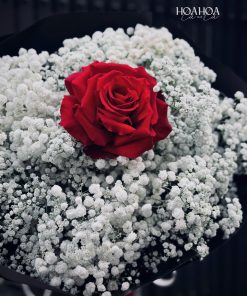 Only You – Bó Hoa Baby Trắng Mix Hồng Ecuador | Hoa Hoa Lá Lá 5 z7990002225942 5e29e482902162a1cadde2018279d9ee
